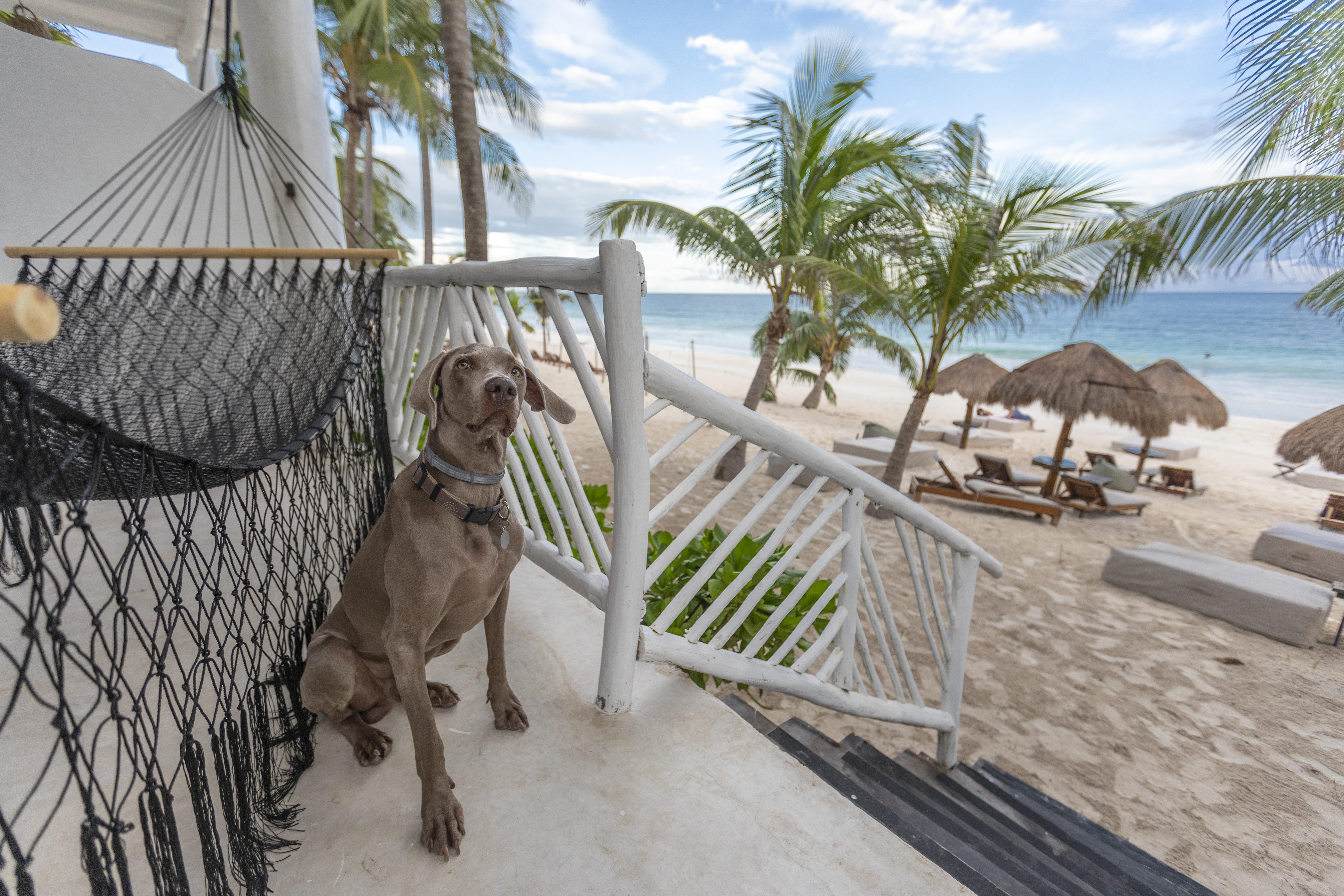 Los Amigos Beach Hotel Boutique Tulum Bagian luar foto