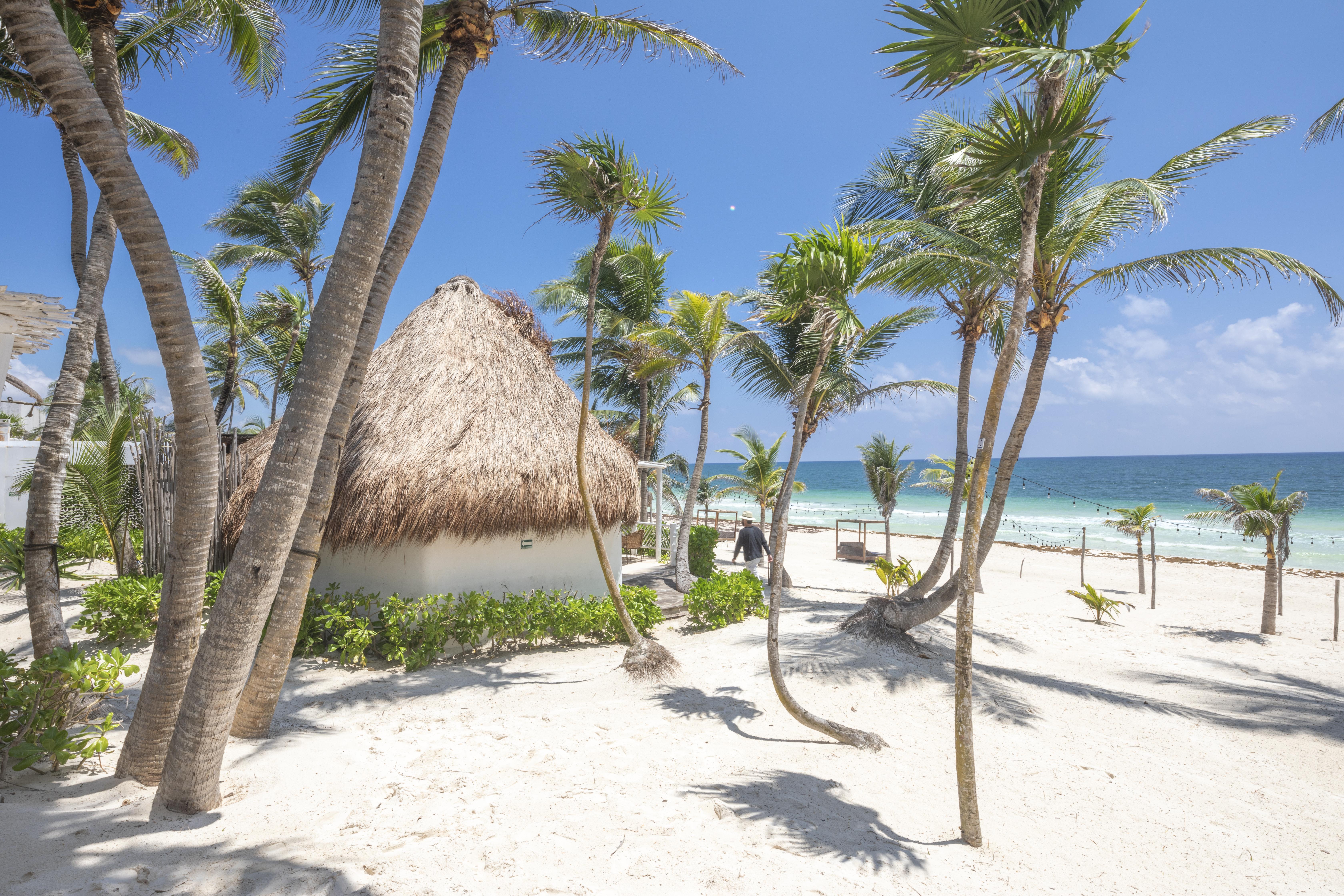 Los Amigos Beach Hotel Boutique Tulum Bagian luar foto