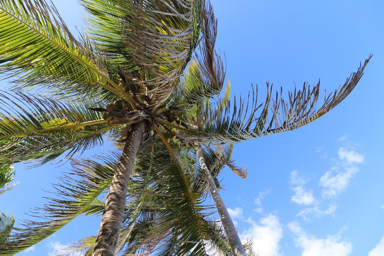 Los Amigos Beach Hotel Boutique Tulum Bagian luar foto