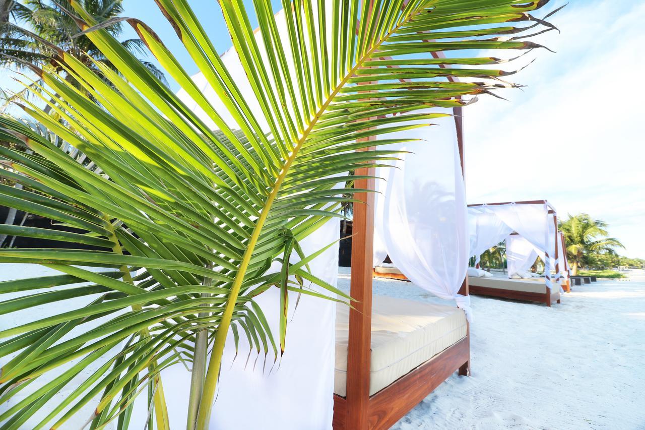 Los Amigos Beach Hotel Boutique Tulum Bagian luar foto